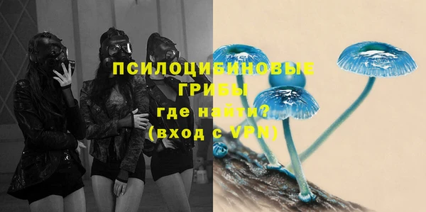 jwh Вязьма