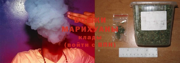 мдпв Туринск