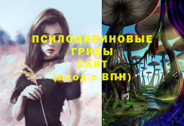 jwh Вязьма