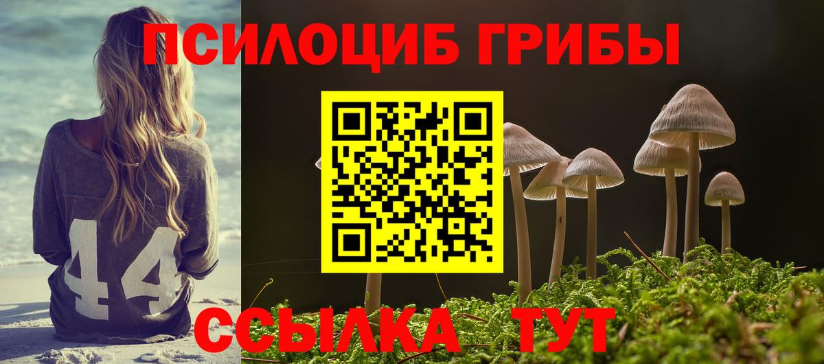 Галлюциногенные грибы GOLDEN TEACHER Снежинск